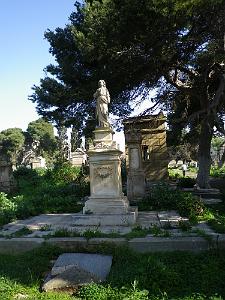 CIMETIERE DE TAMAZOUHET D ORAN EN MARS 2012  (82)
